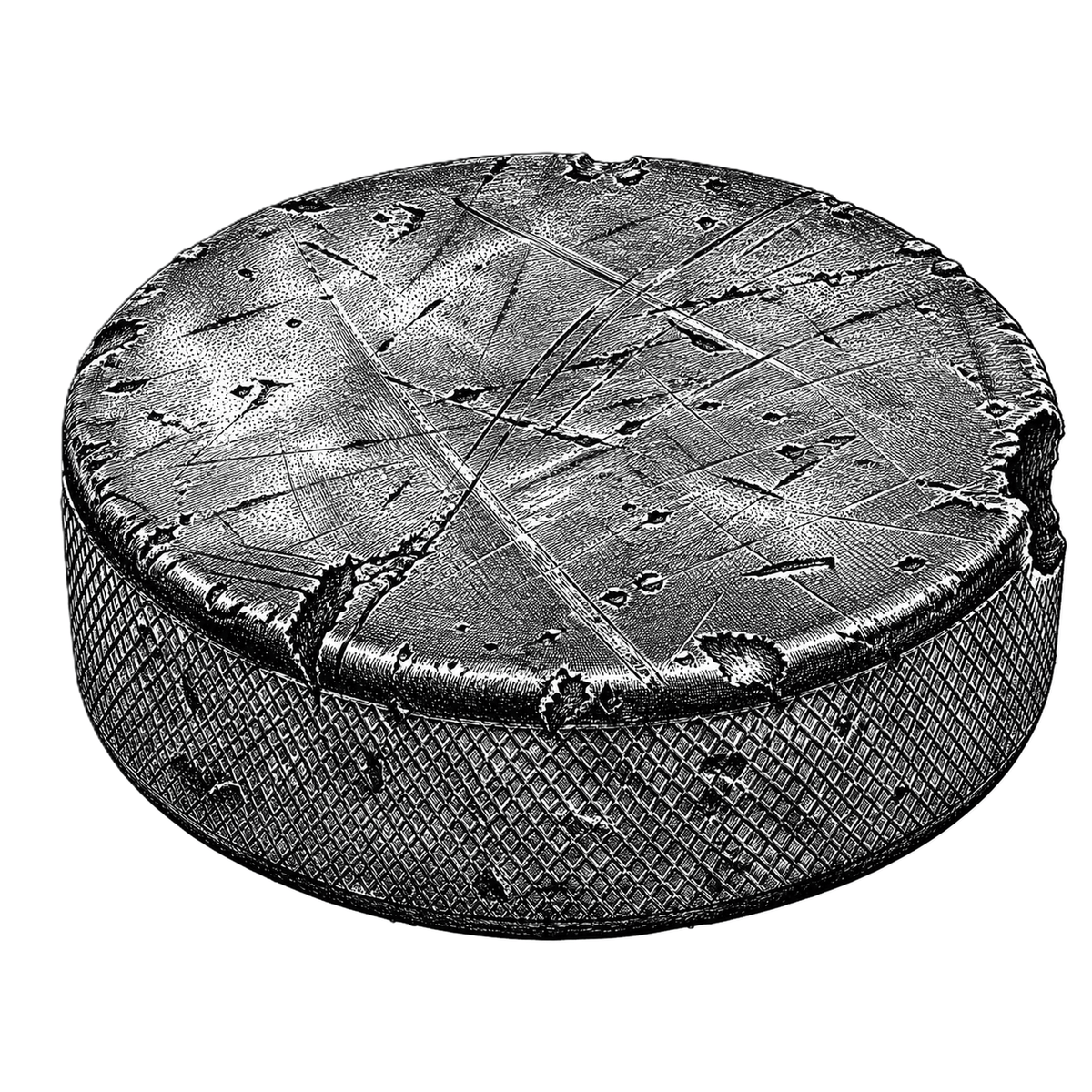 The Biscuit
